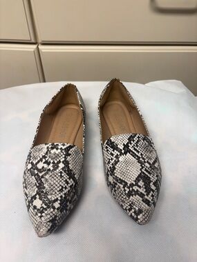 Snake-Print Pointed Toe Women’s Flats - Black & White